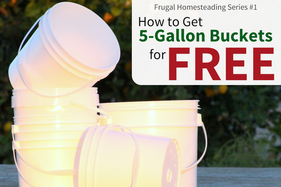 Stores that hand out five gallon buckets for free
