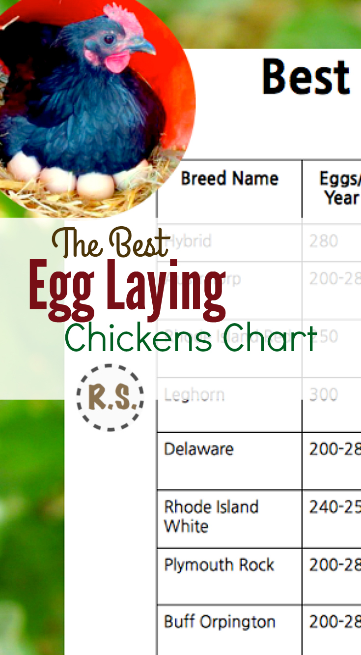 Chart For Egg Production